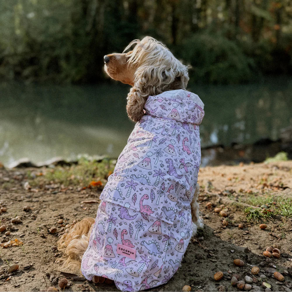 Princess Dino Dog Raincoat