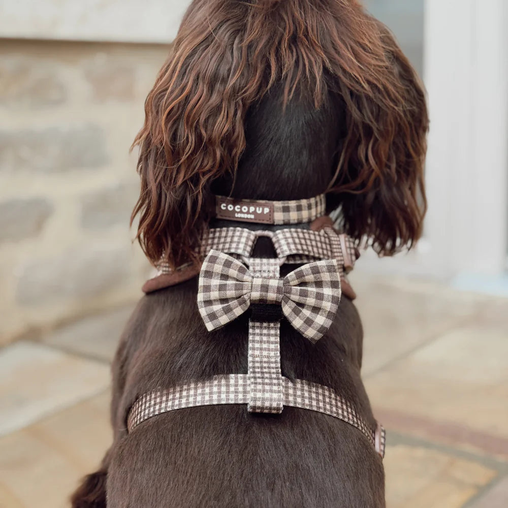 Cotswold Collar