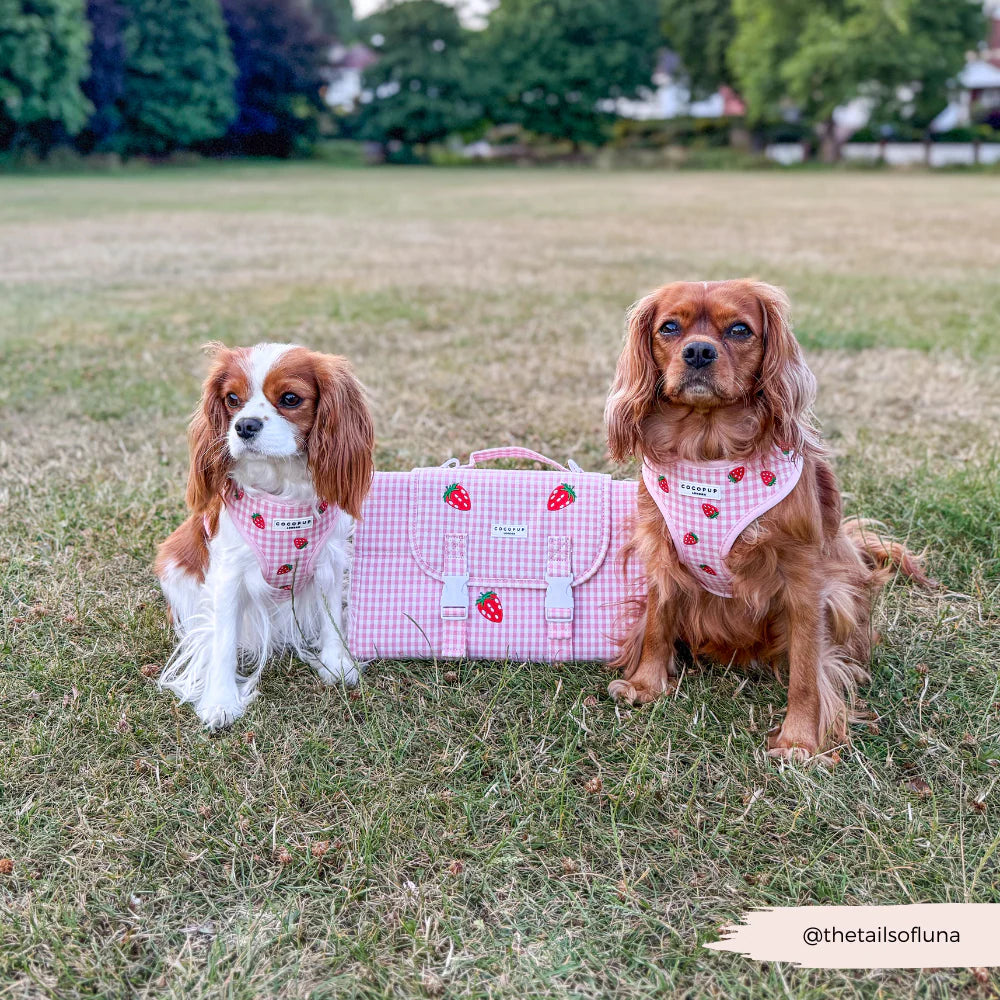Travel Mat - Strawberry Picnic