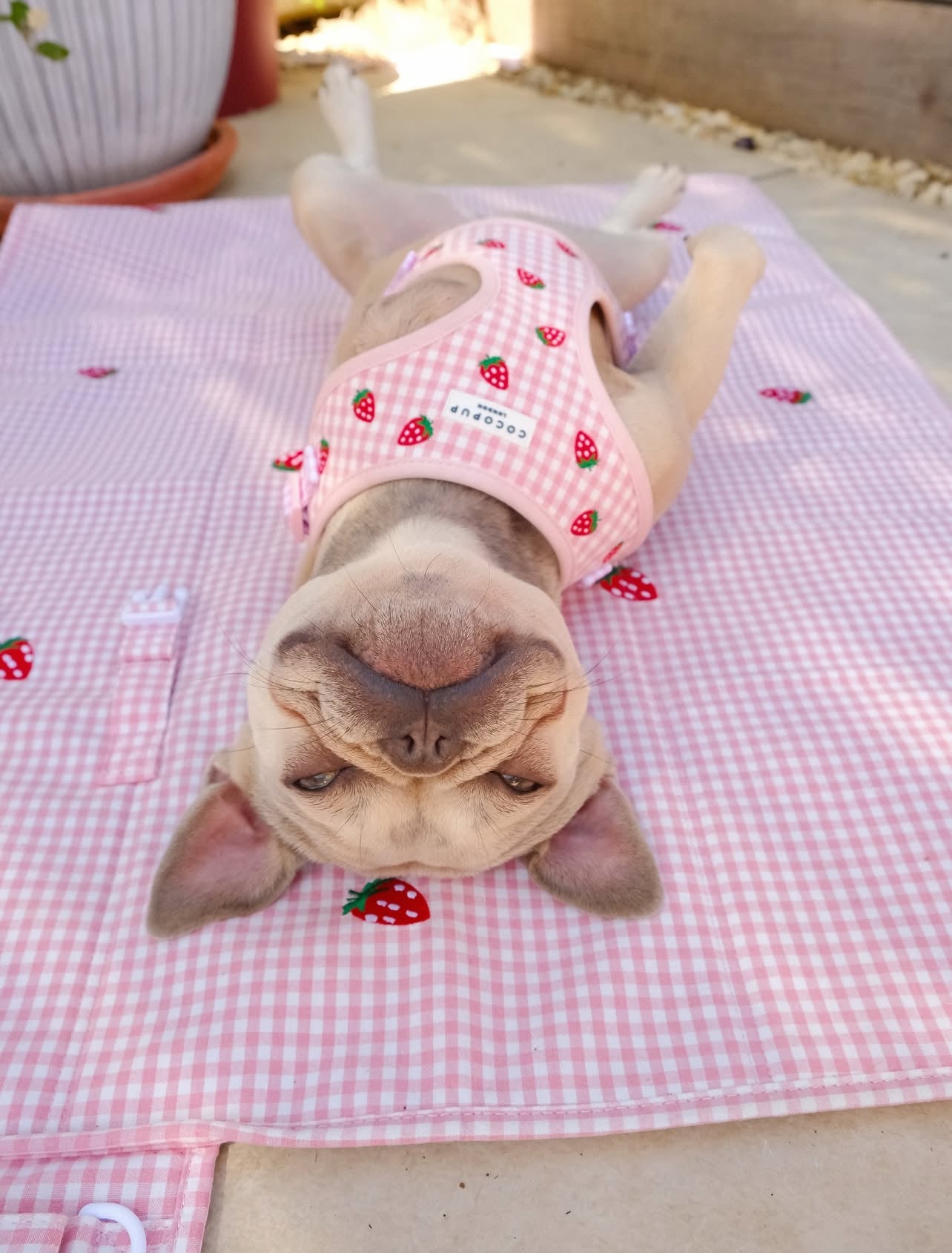 Travel Mat - Strawberry Picnic