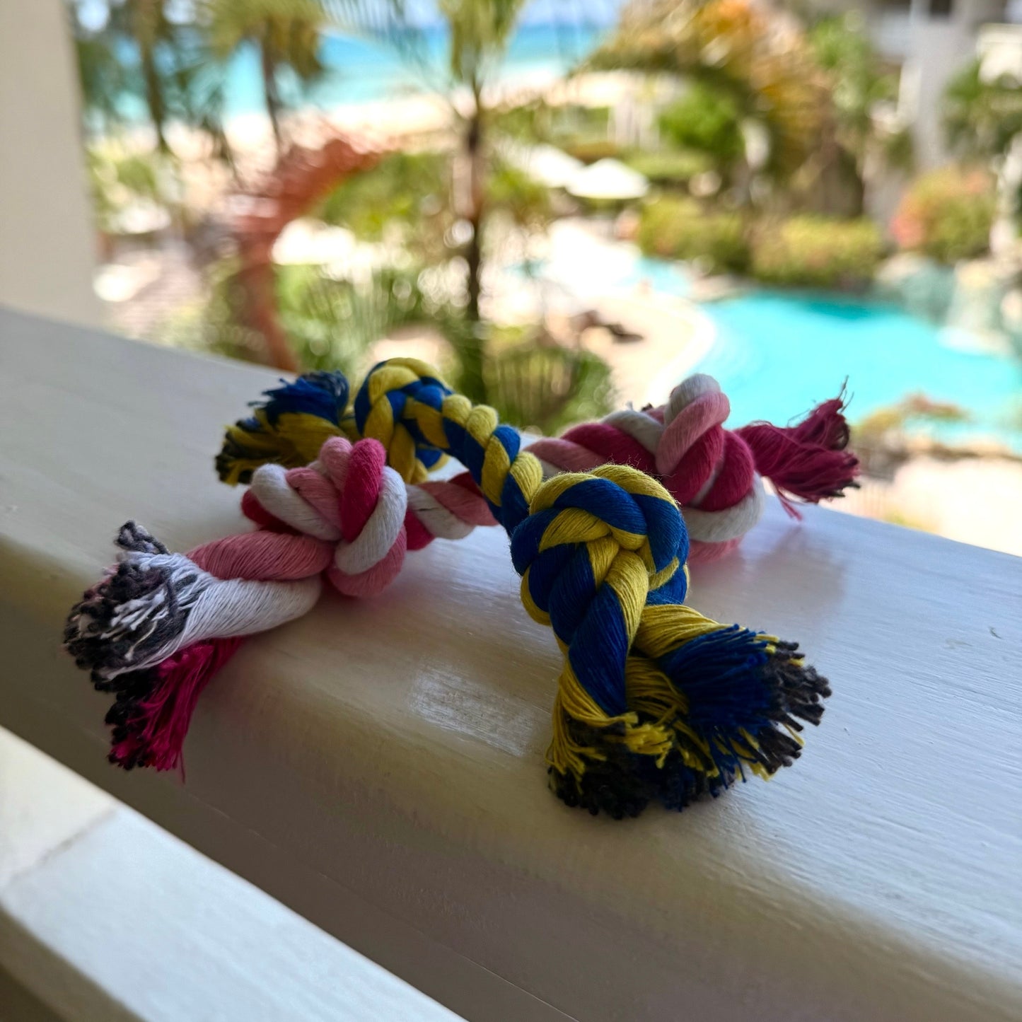 Puppy Rope Toy