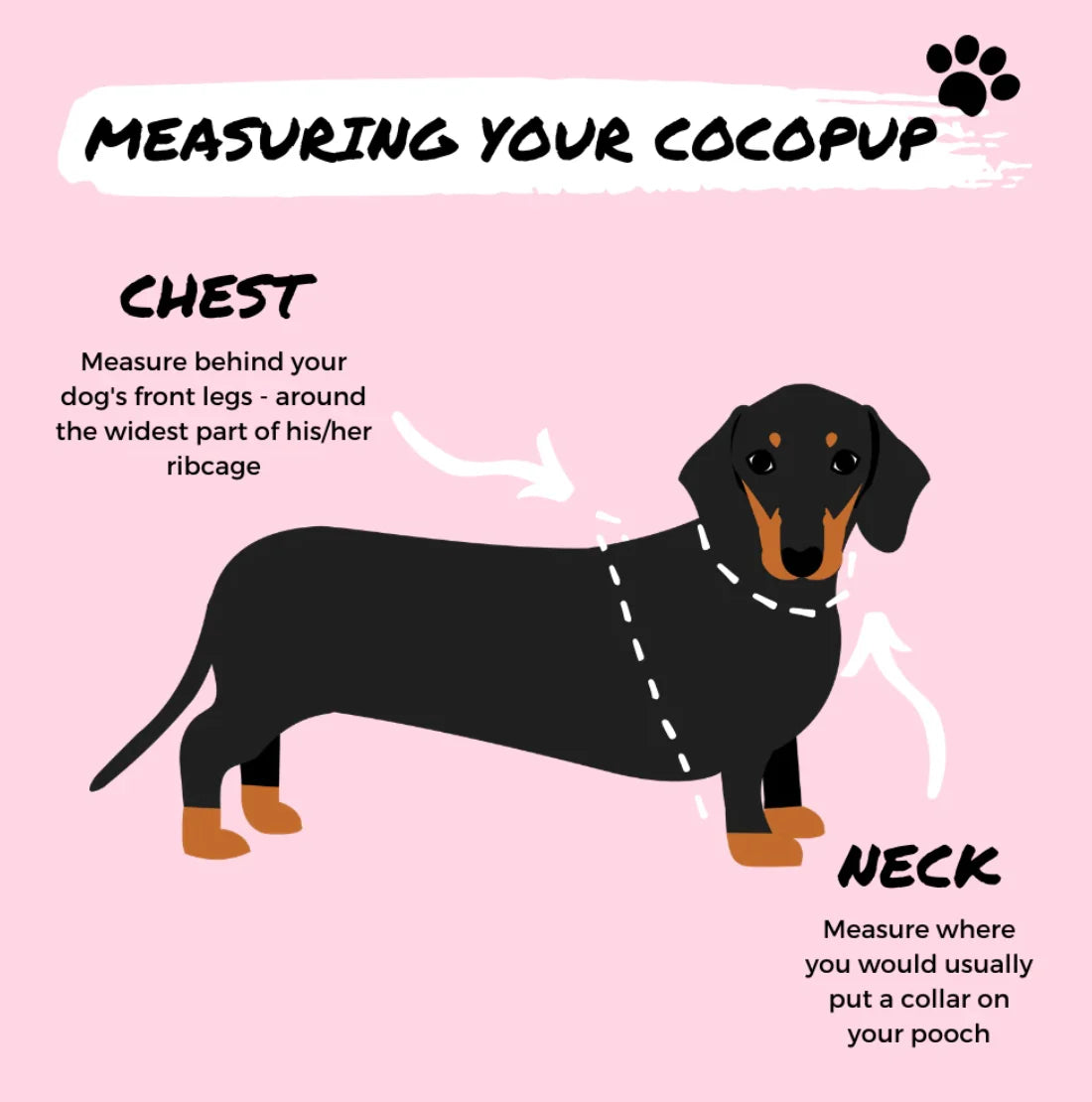 Bubblegum - Surf’s Up! 🏖️ - Adjustable Dog Harness