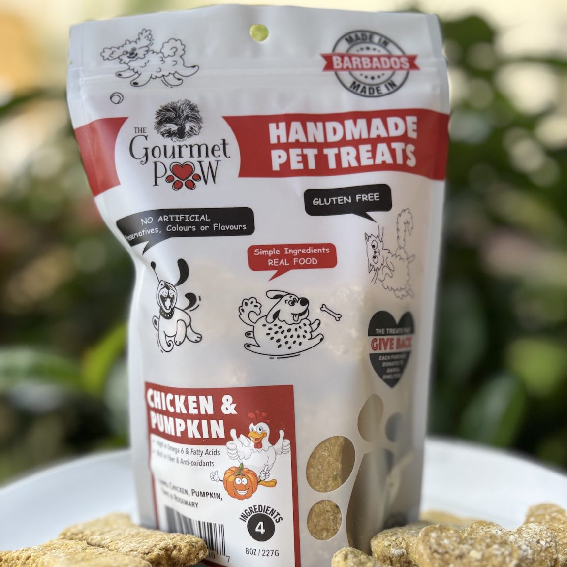 Chicken & Pumpkin Dog Treats