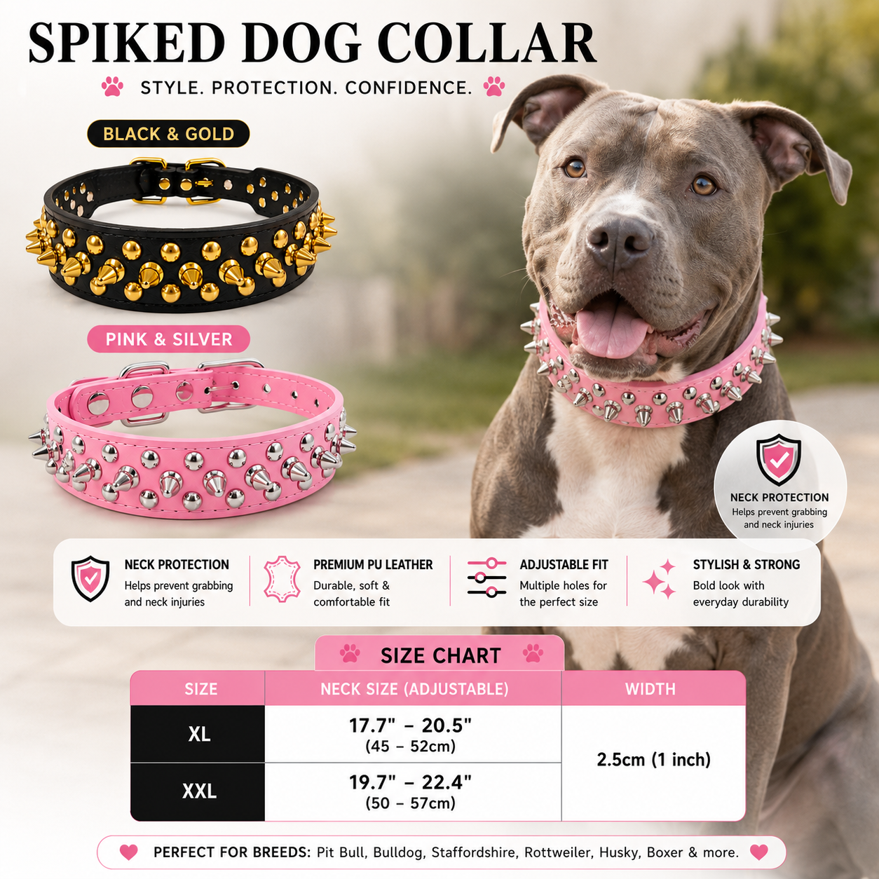 Regal Stud Collar