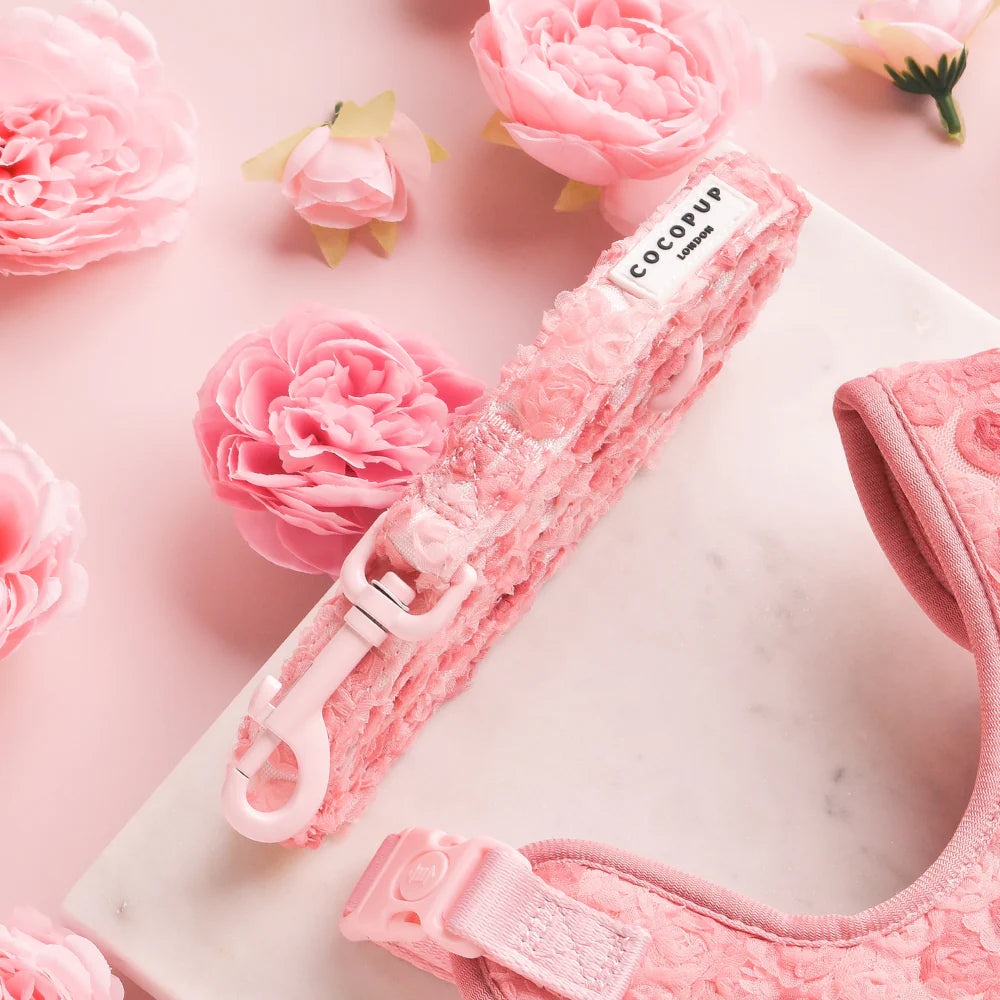 Peony Leash