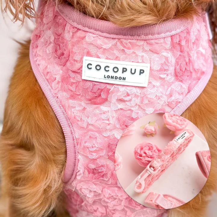 Peony Leash