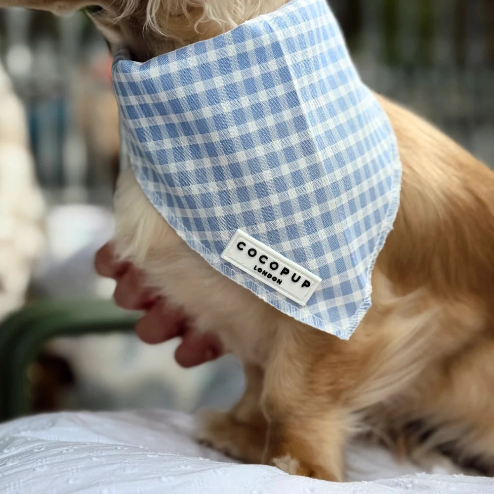 English Blue Scarf