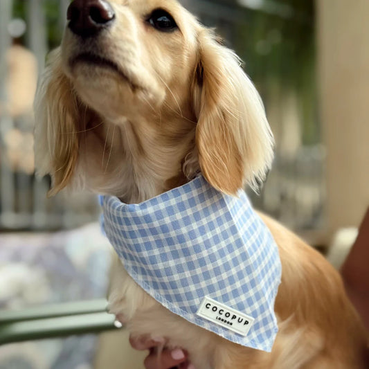 English Blue Scarf