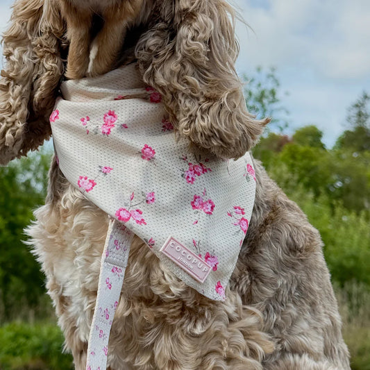 English Rose Scarf