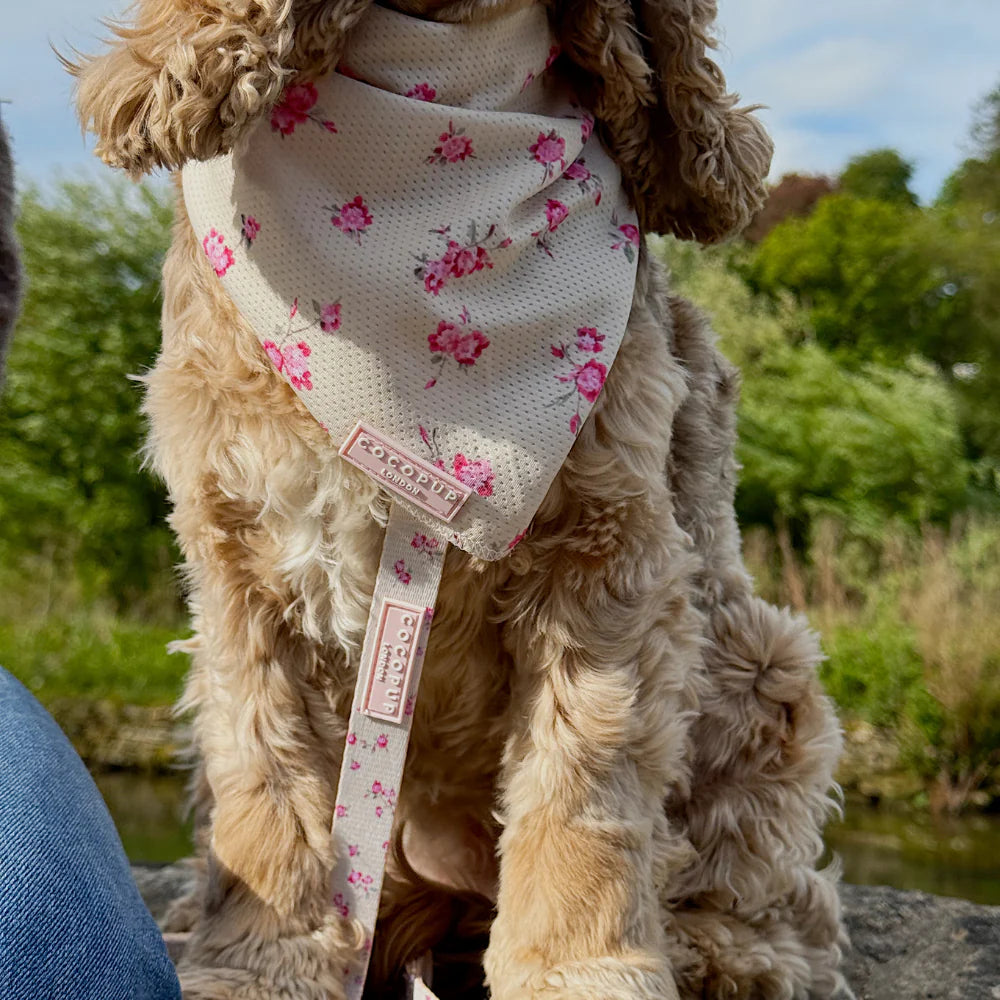 English Rose Scarf