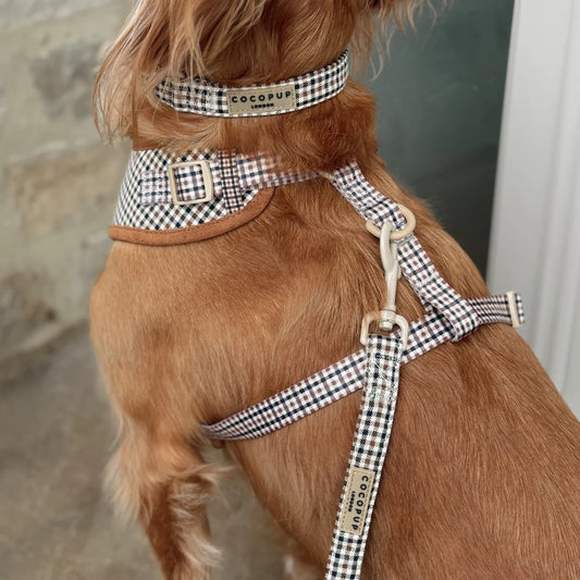 Heritage Leash