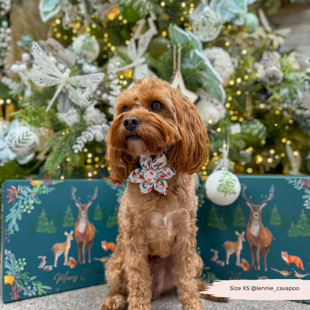 Christmas Pawty Flower Bow Tie