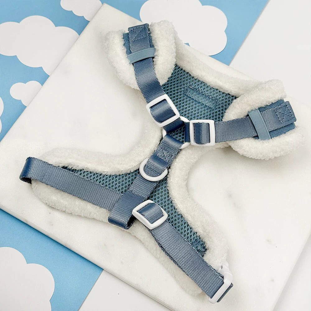 Cloud Nine Harness