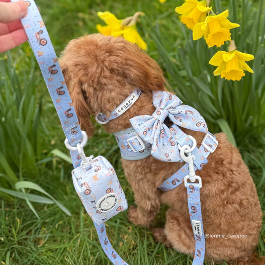 Barnyard Leash