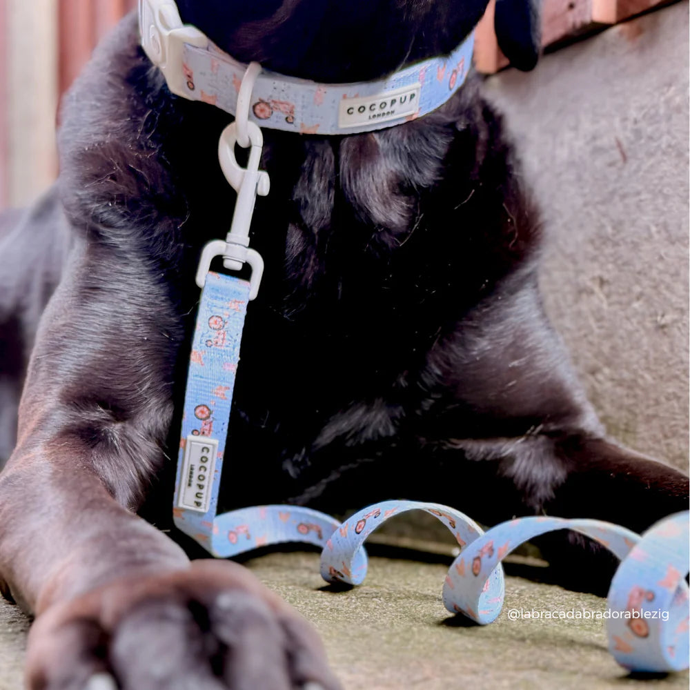 Barnyard Leash