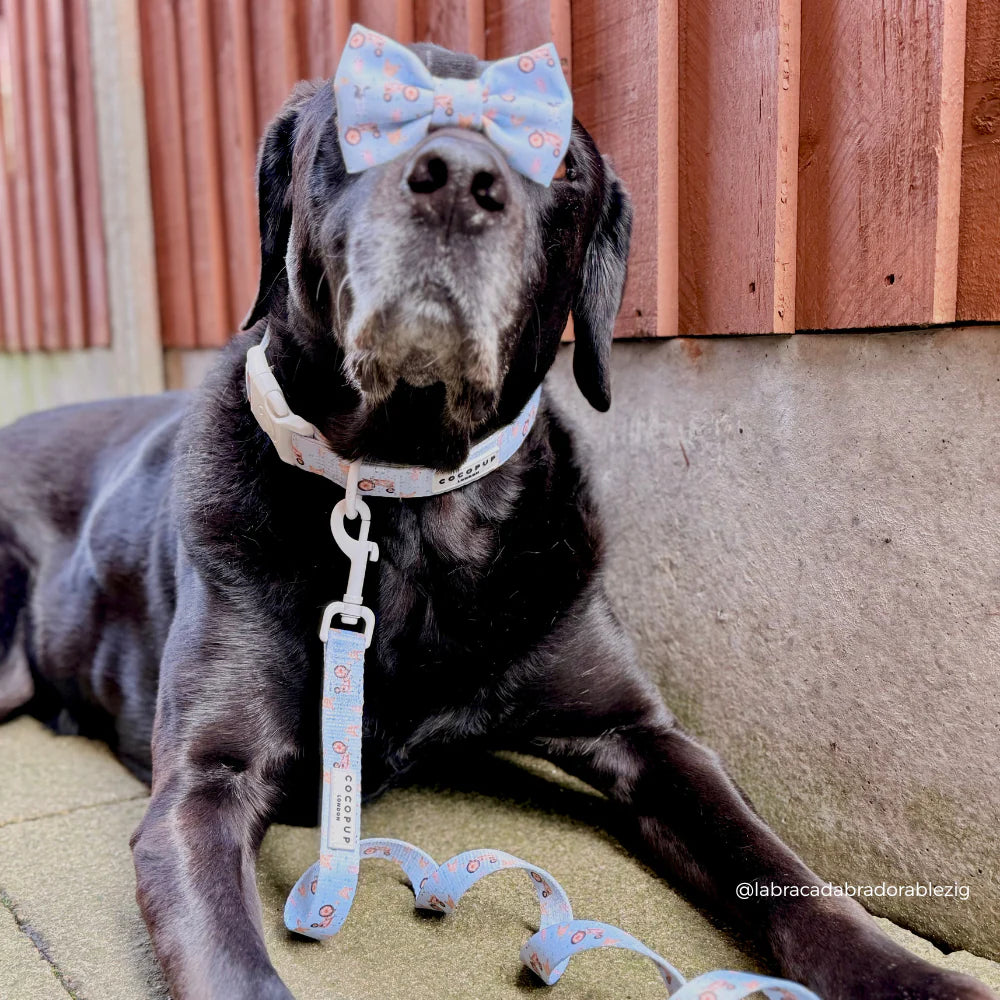 Barnyard Bow Tie