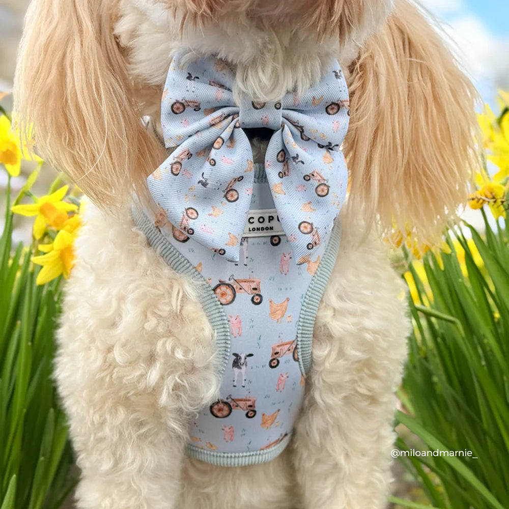 Barnyard Sailor Bow
