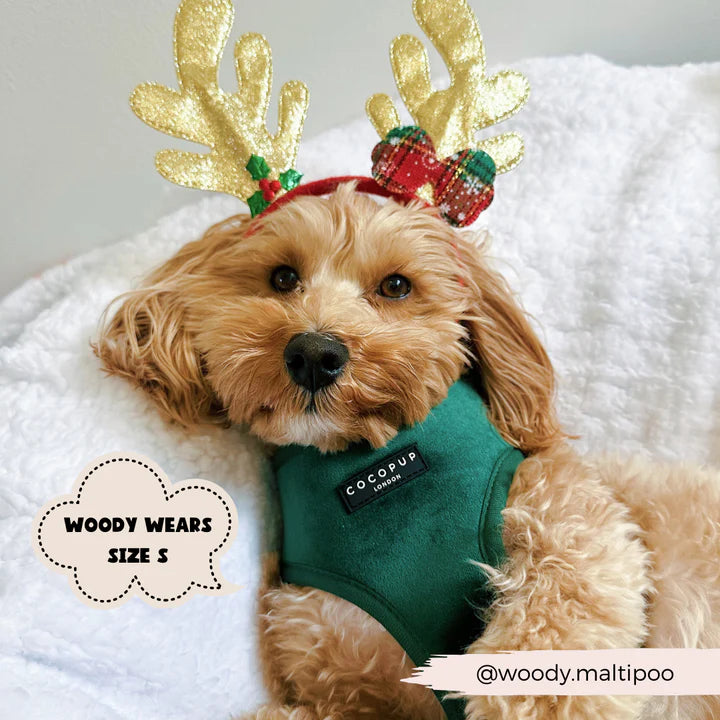 Luxe Green Velvet Harness