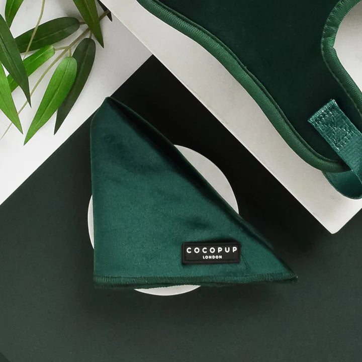 Luxe Green Velvet Bandana