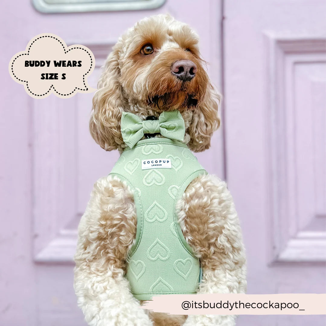 Sage Heart - Adjustable Dog Harness
