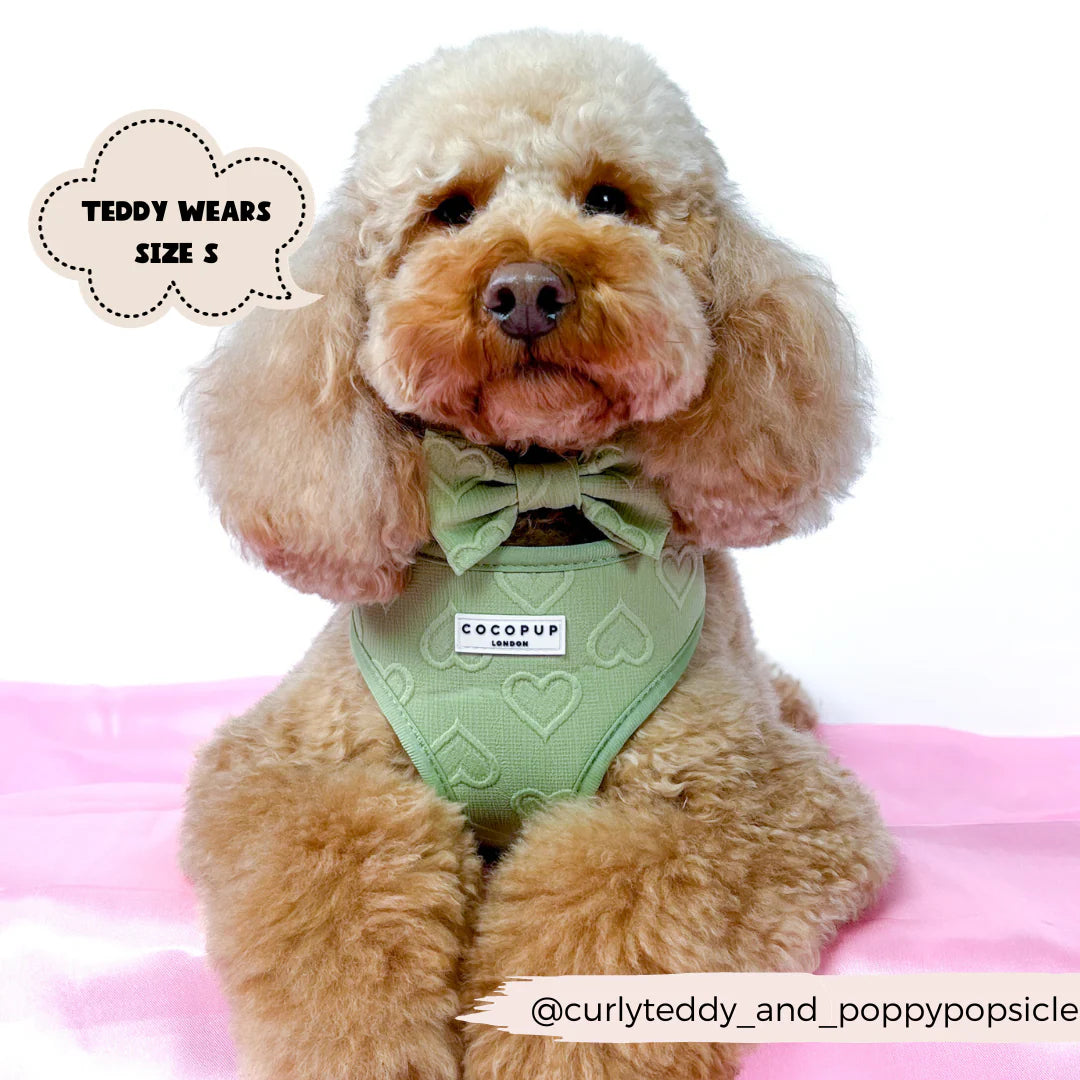 Sage Heart Bow Tie