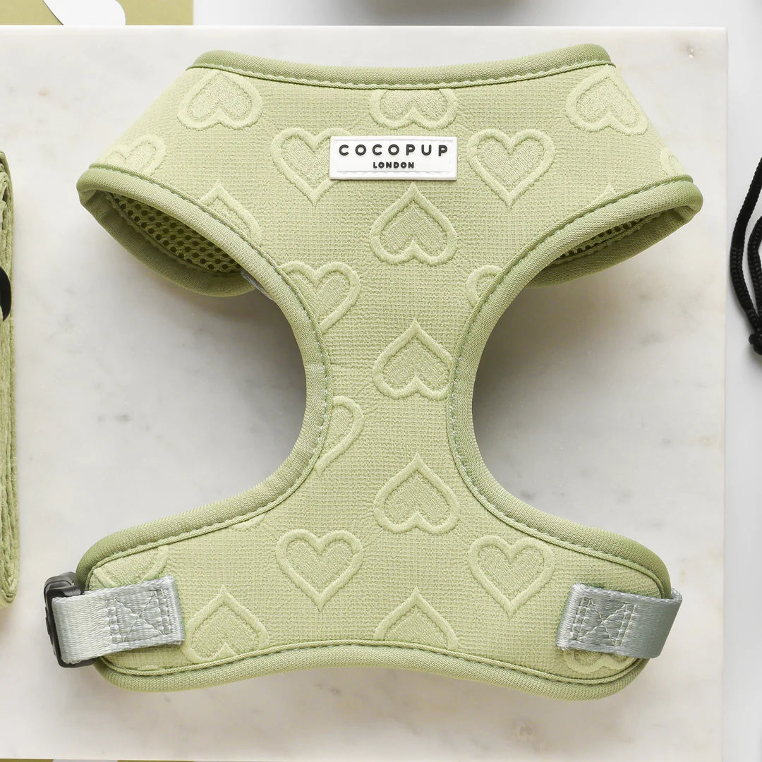 Sage Heart - Adjustable Dog Harness