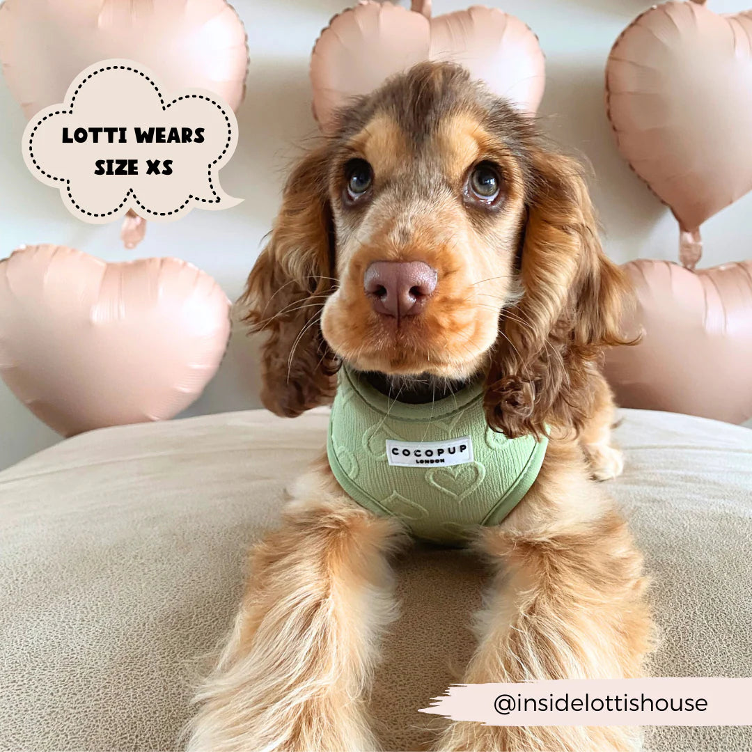 Sage Heart - Adjustable Dog Harness
