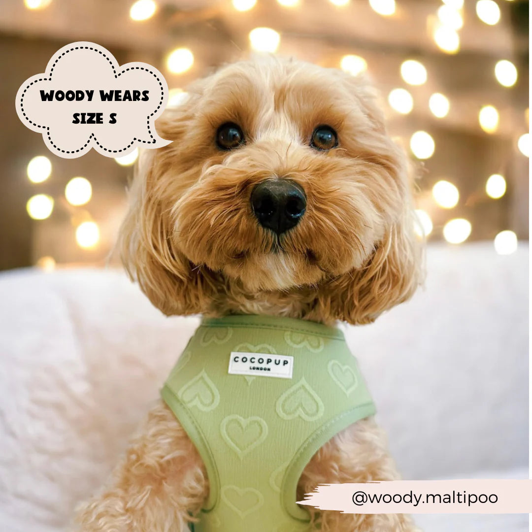 Sage Heart - Adjustable Dog Harness