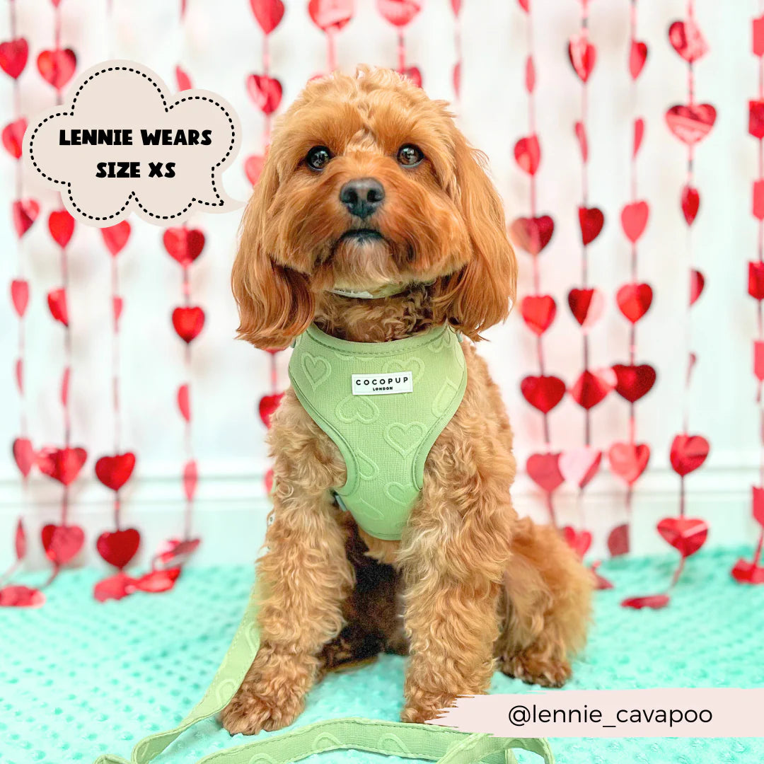 Sage Heart - Adjustable Dog Harness