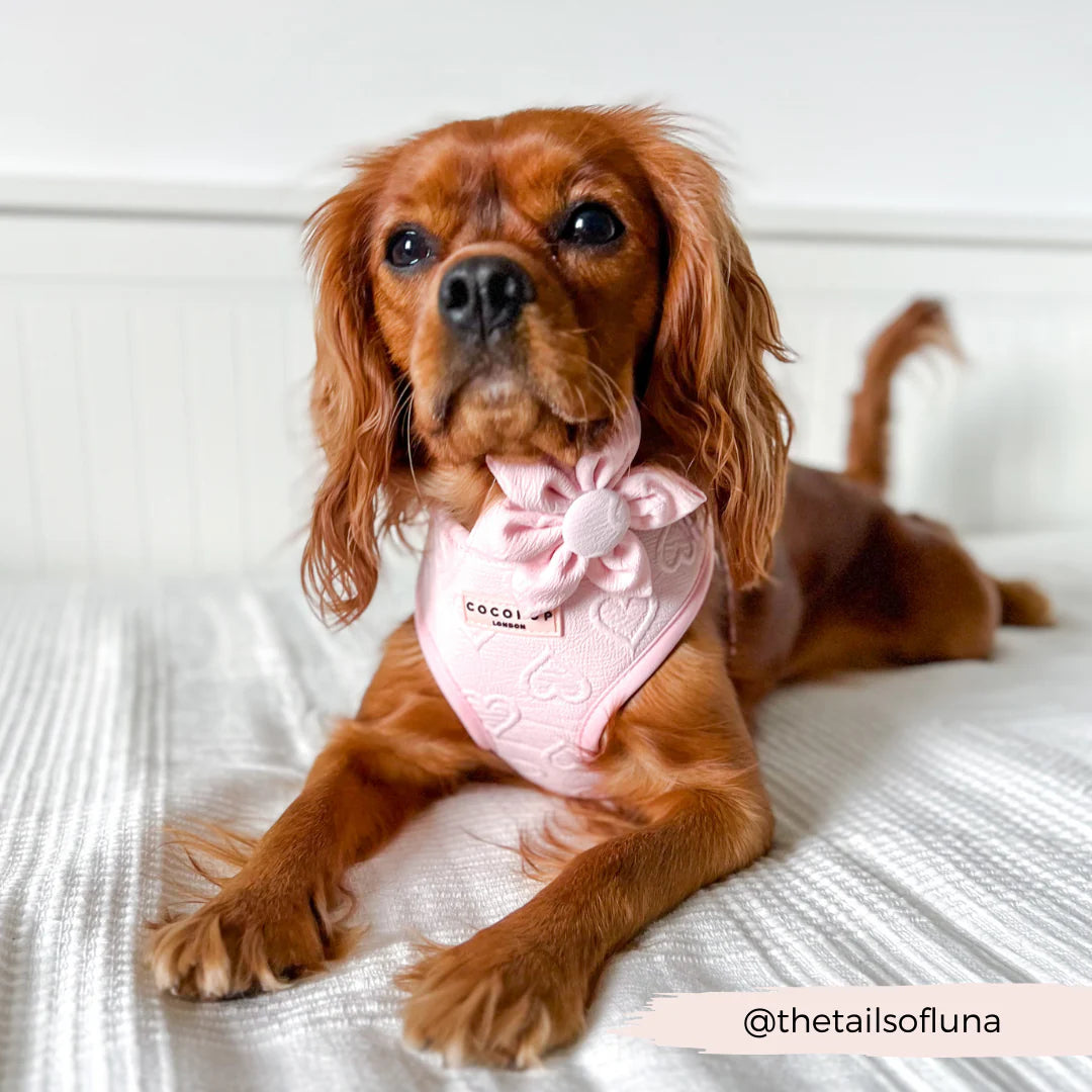 Baby Pink Heart Flower Bow