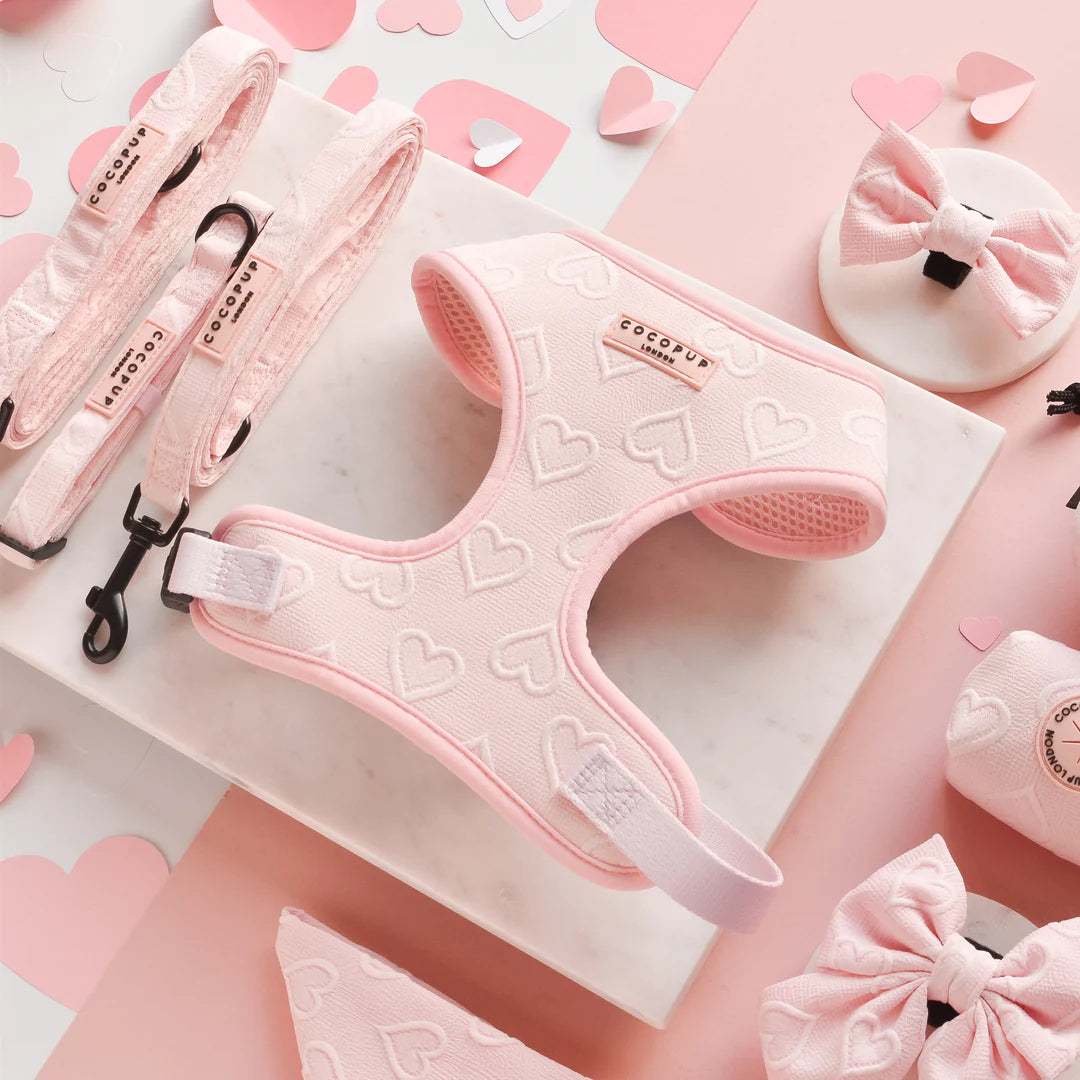 Baby Pink Heart - Adjustable Dog Harness