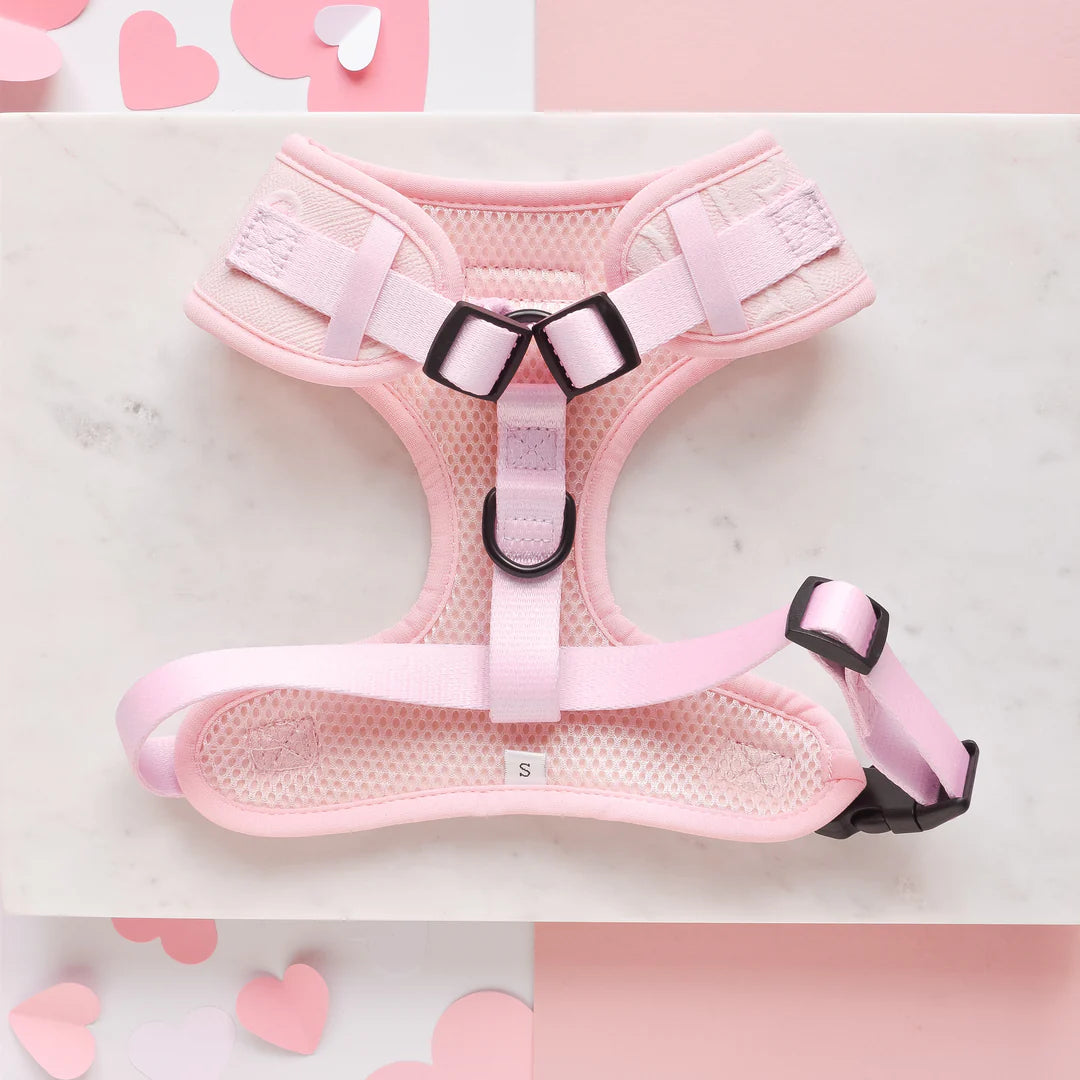 Baby Pink Heart - Adjustable Dog Harness
