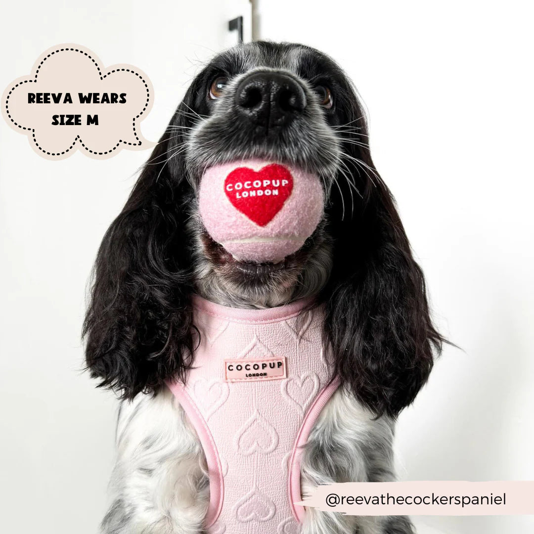 Baby Pink Heart - Adjustable Dog Harness