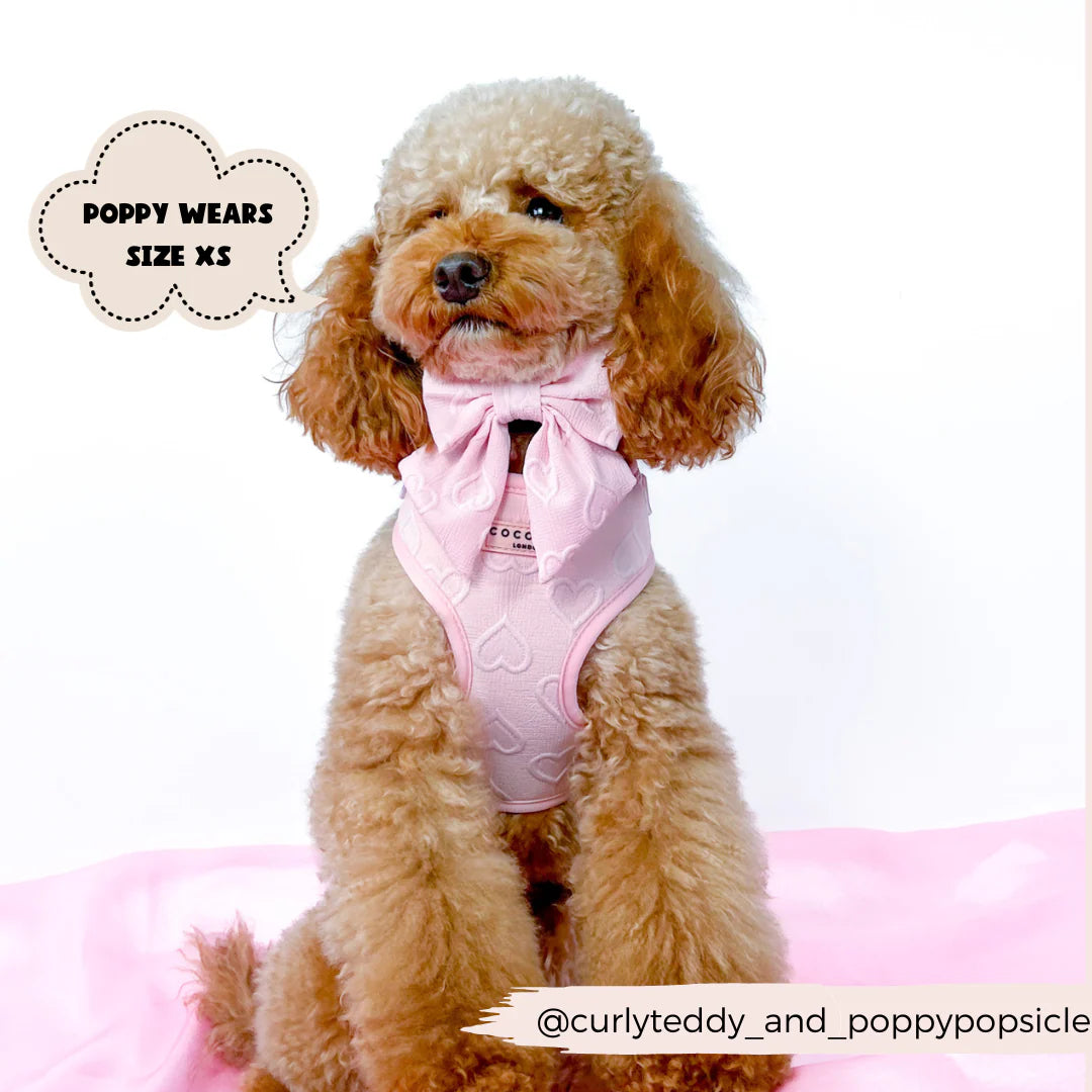 Baby Pink Heart - Adjustable Dog Harness