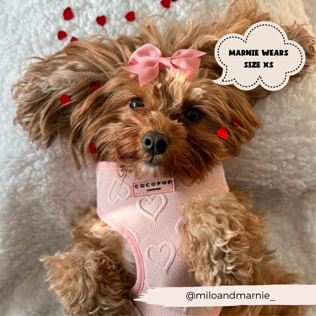 Baby Pink Heart - Adjustable Dog Harness
