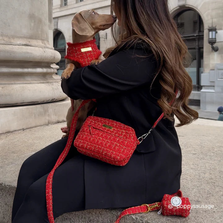 The Duchess Viral Dog Walking Bag