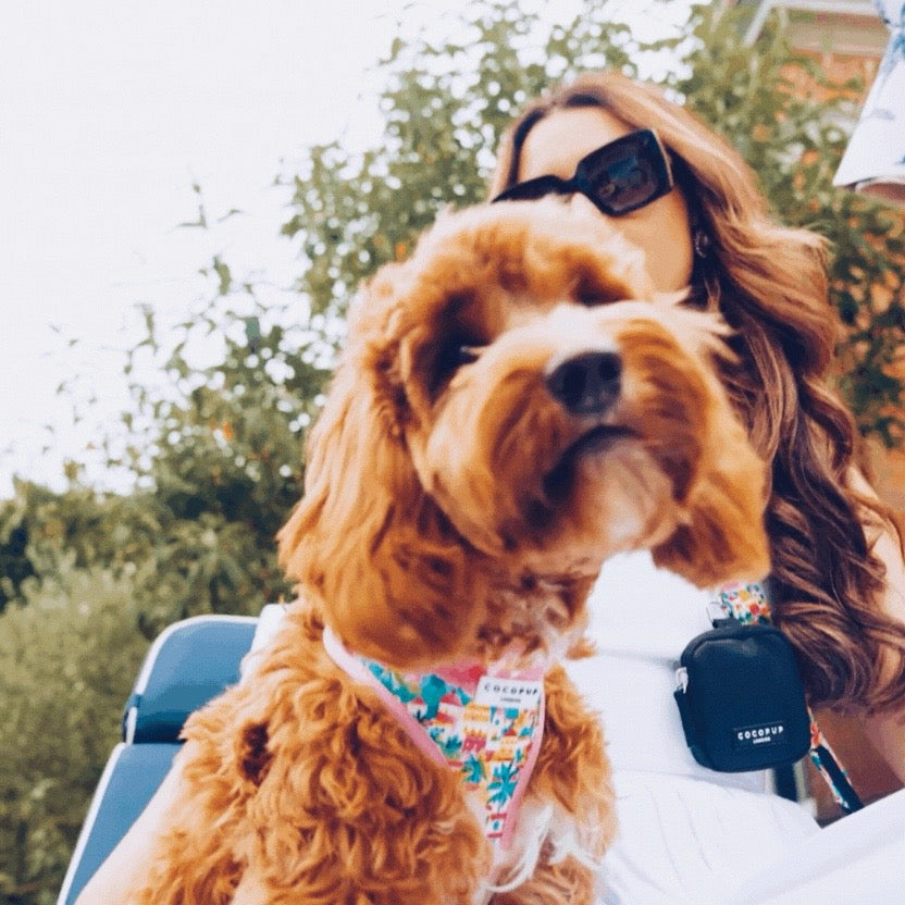 Portofino - Adjustable Dog Harness