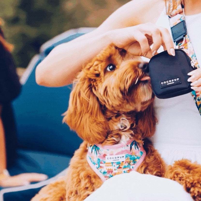 Portofino - Adjustable Dog Harness