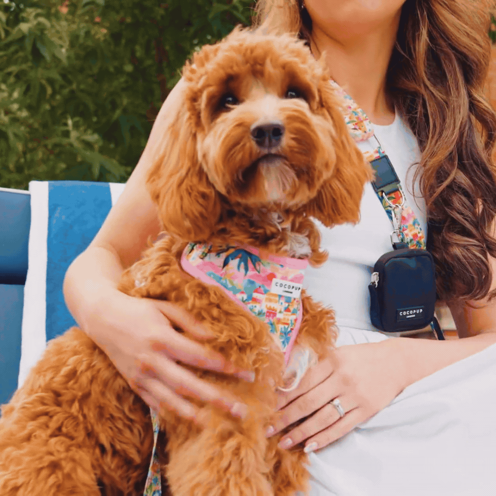 Portofino - Adjustable Dog Harness