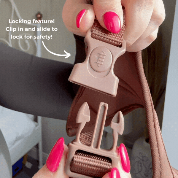 Dino-Paw Harness