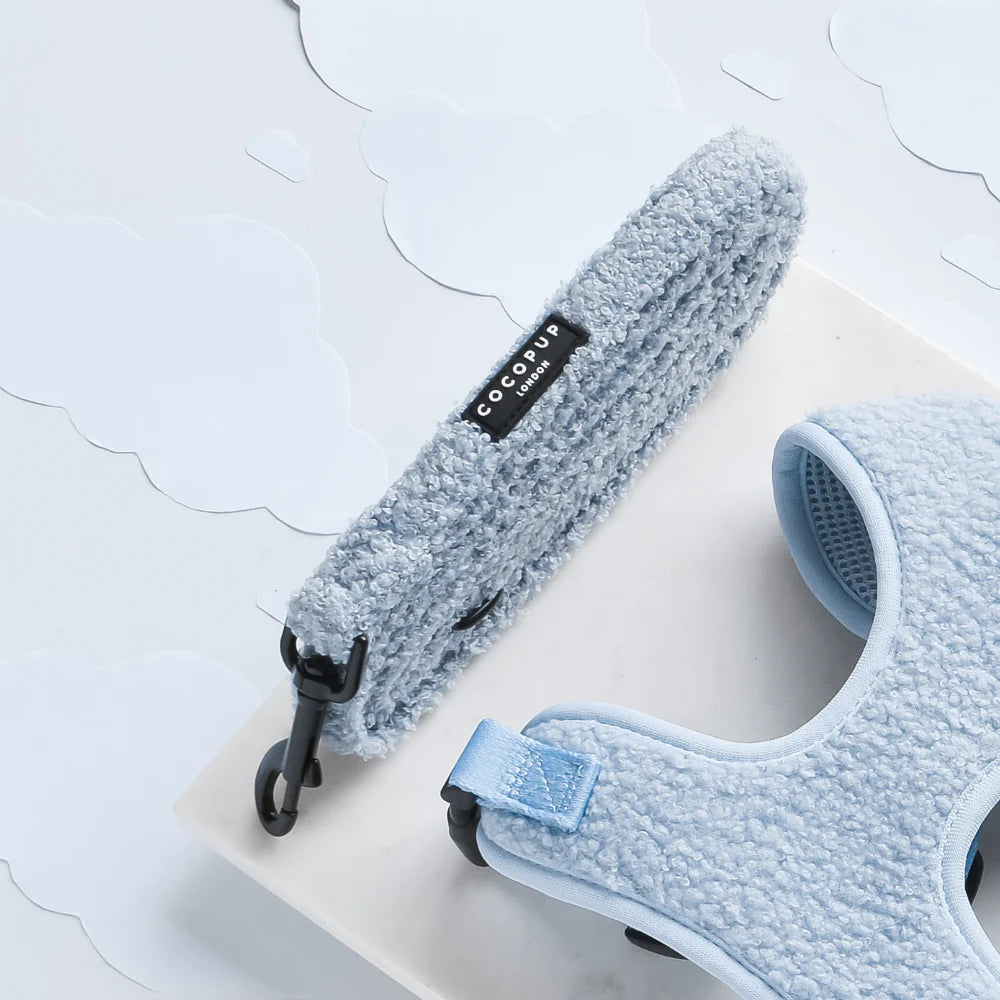 Daydream Leash