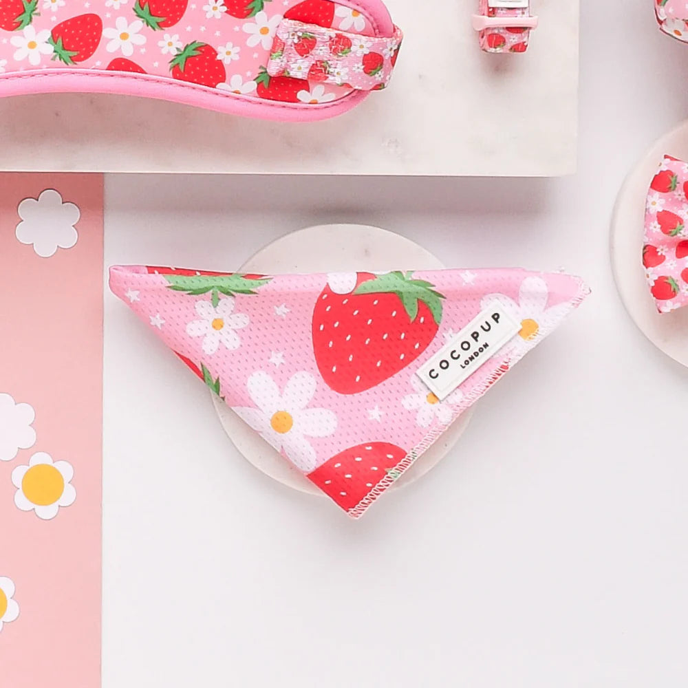 Pup Berry Bandana (Scarf)