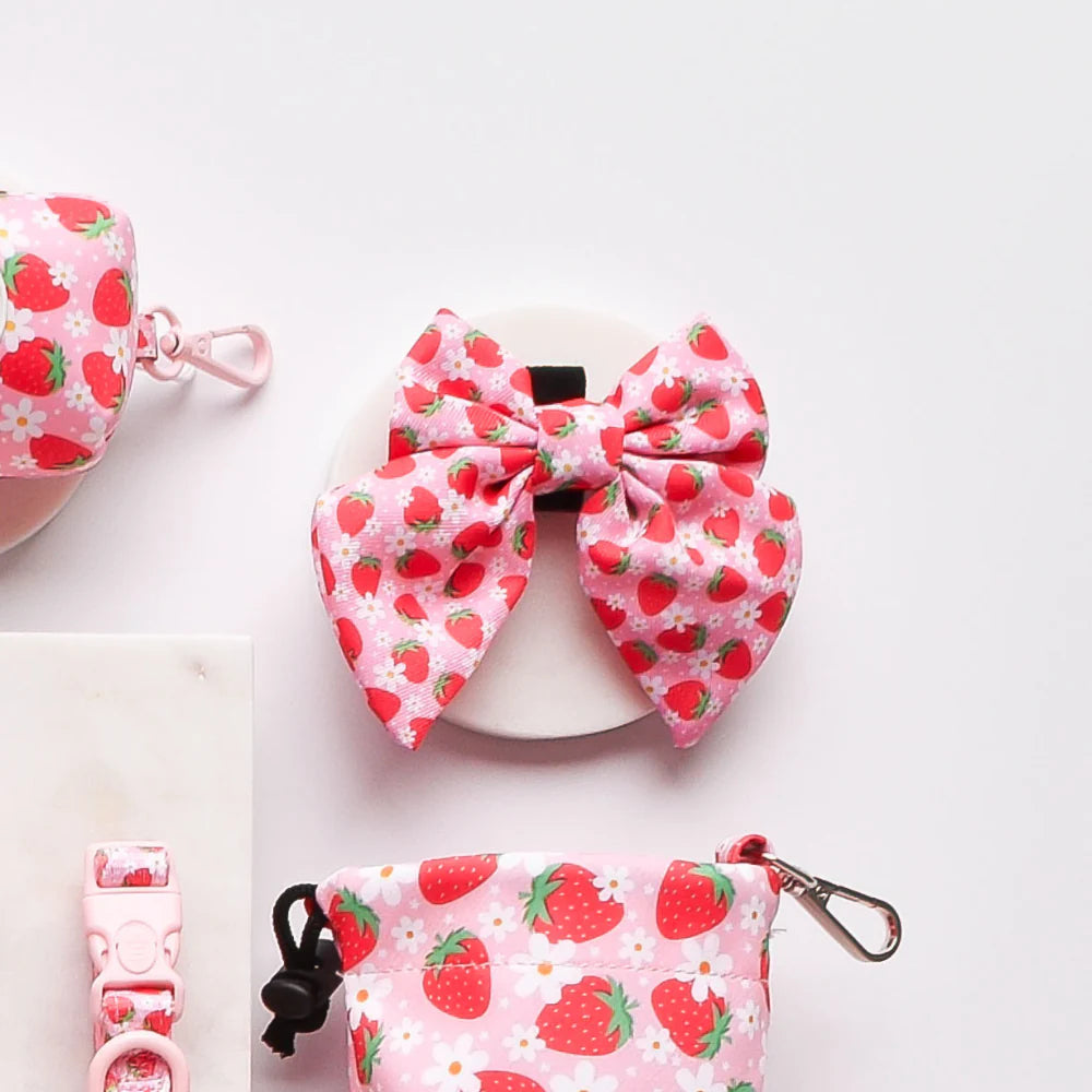 Pup Berry Sailor Bow Tie