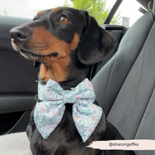 Dino-Paw Sailor Bow Tie