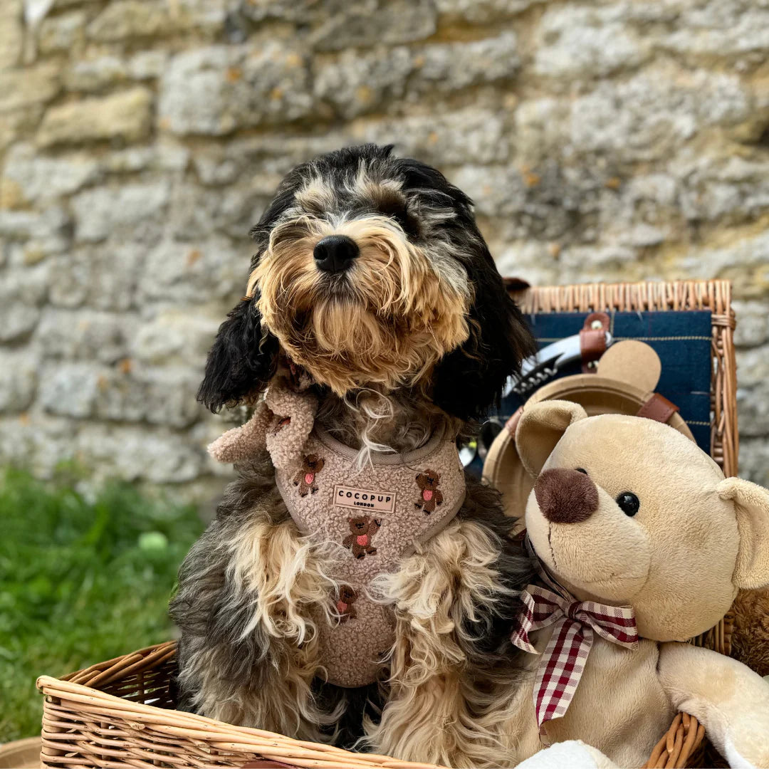 Teddy - Adjustable Dog Harness