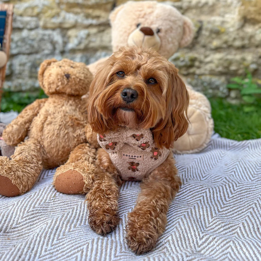 Teddy - Adjustable Dog Harness