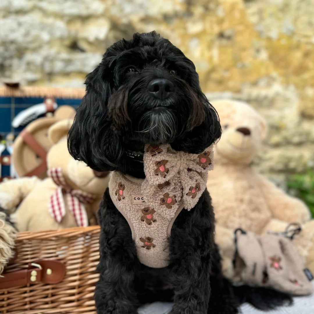 Teddy - Adjustable Dog Harness