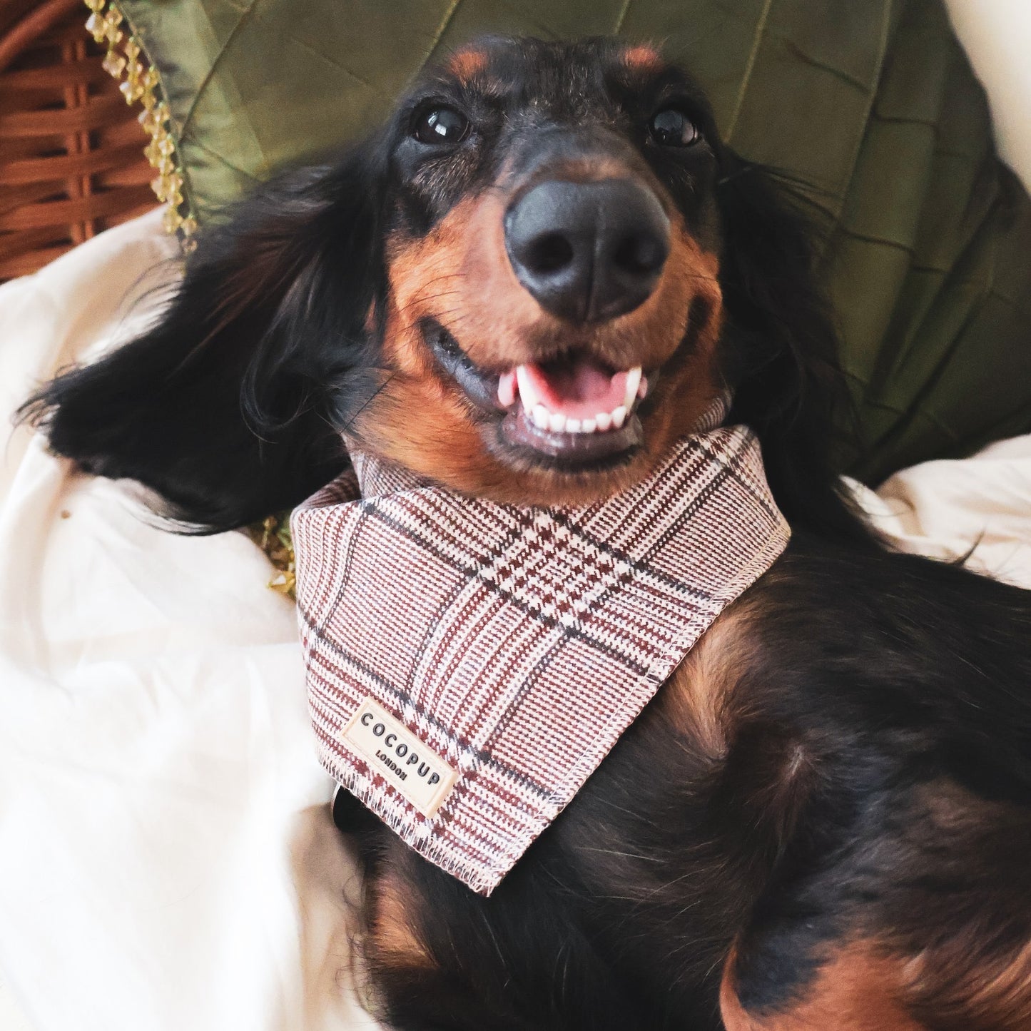 Pup Plaid Bandana