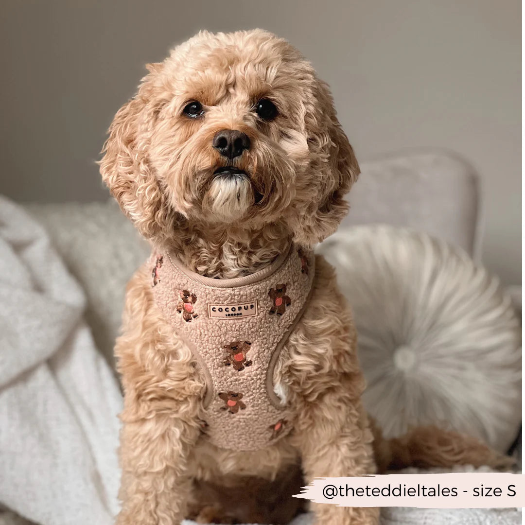 Teddy - Adjustable Dog Harness