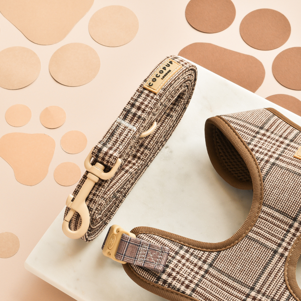 Pup Plaid Leash